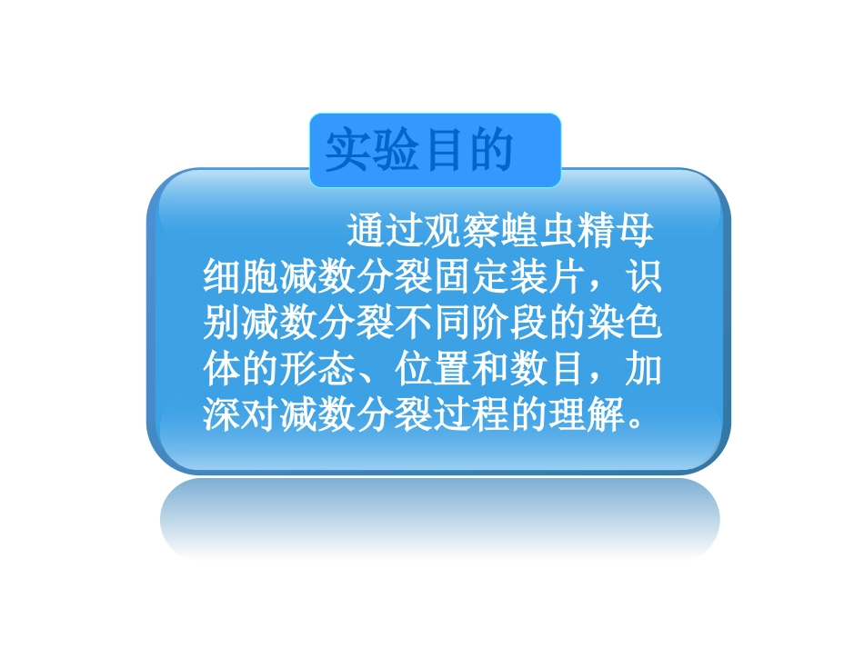 观察蝗虫精母细胞减数分裂固定装片_第2页