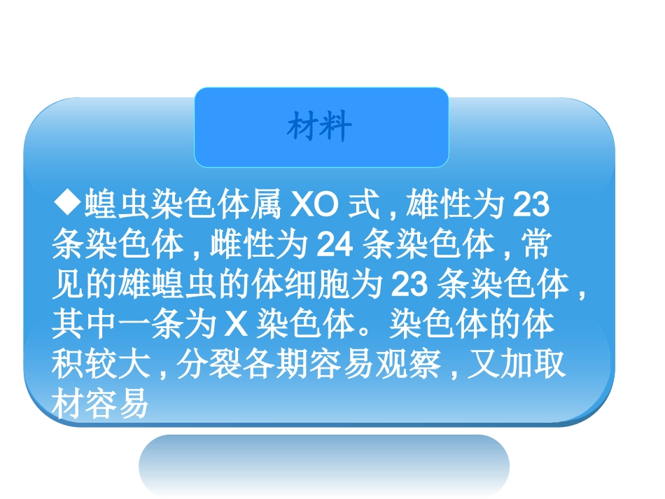 观察蝗虫精母细胞减数分裂固定装片_第3页