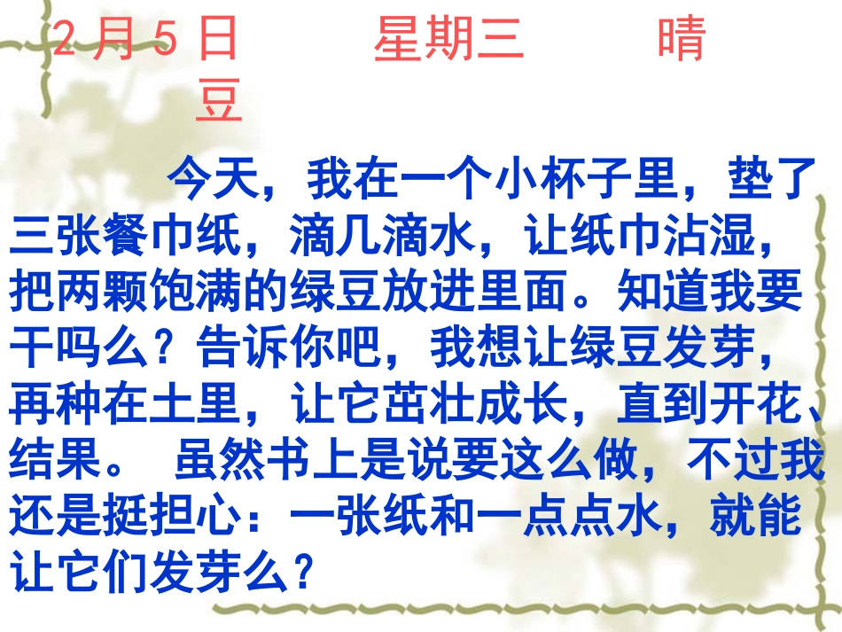 观察日记种豆芽_第3页