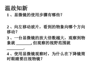 观察植物细胞和动物细胞