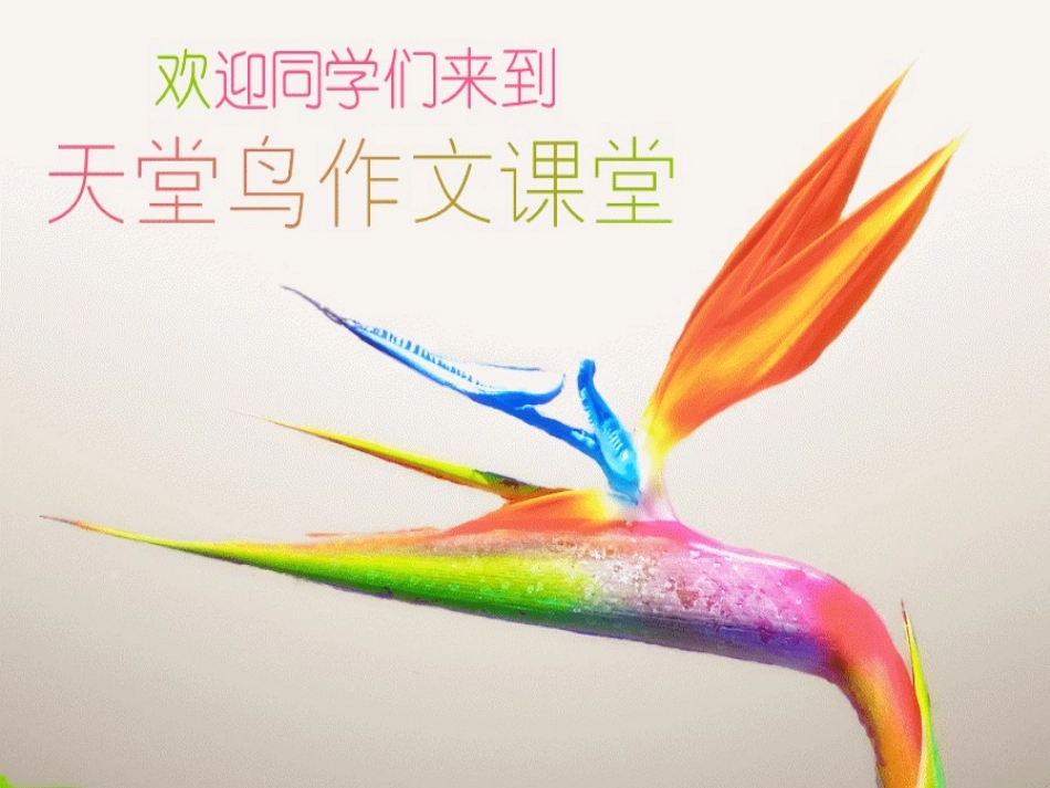 观后感微电影_第1页