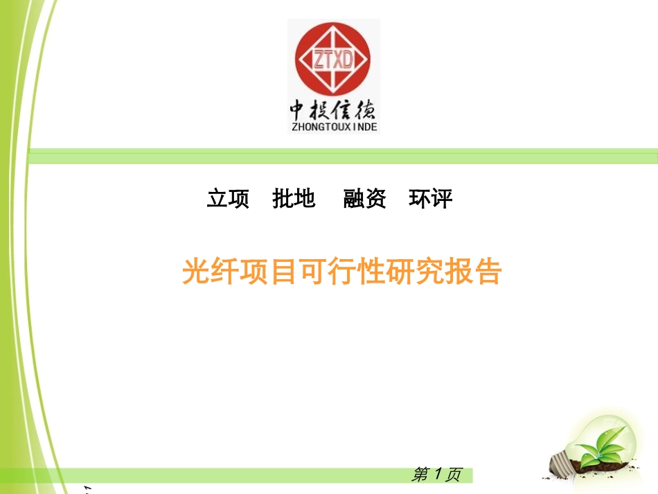 光纤项目可行性研究报告_第1页