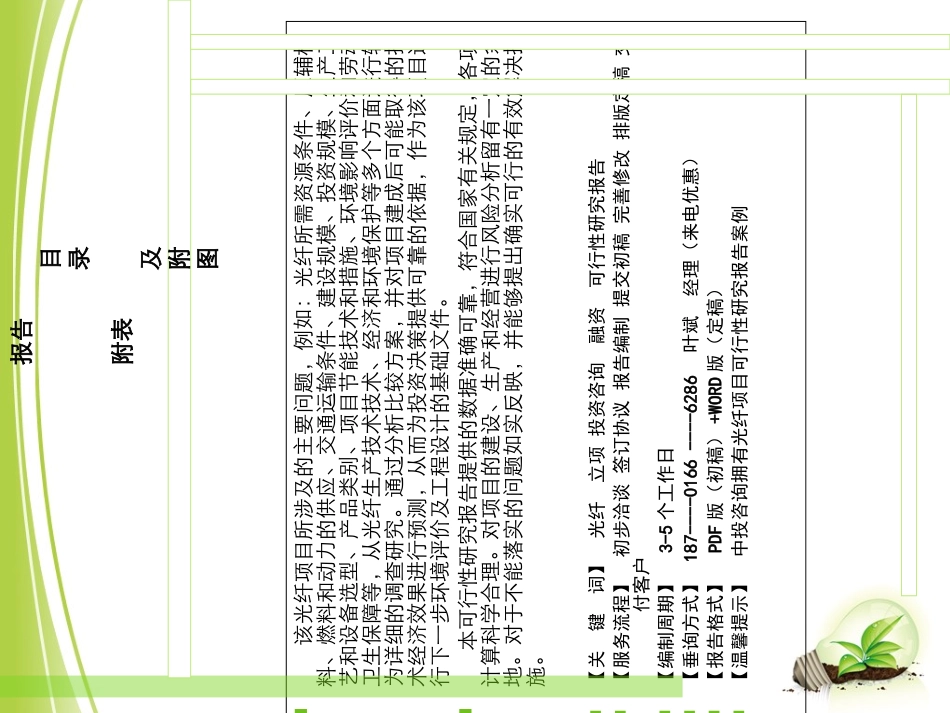 光纤项目可行性研究报告_第2页