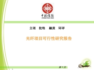 光纤项目可行性研究报告