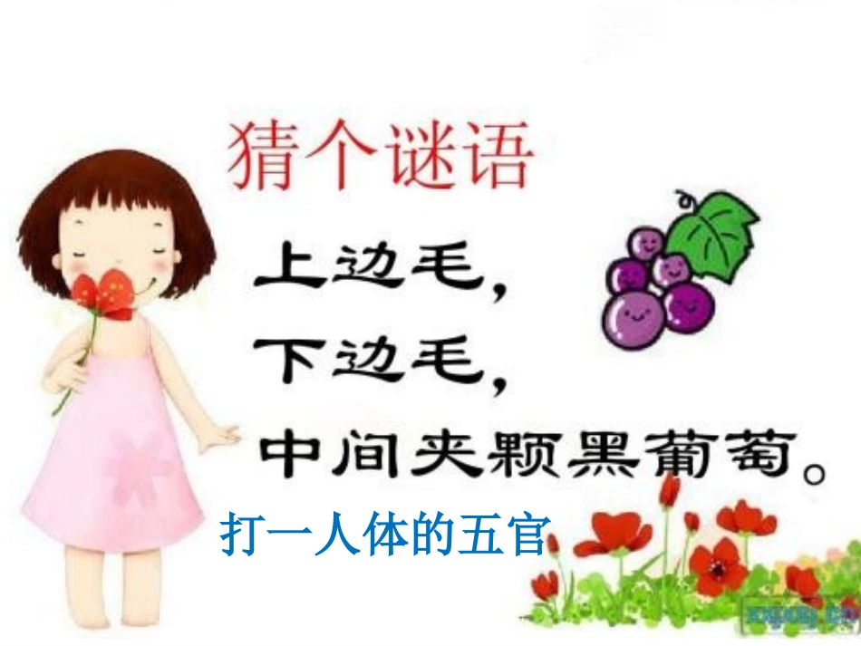 规范做眼操珍惜好视力_第1页