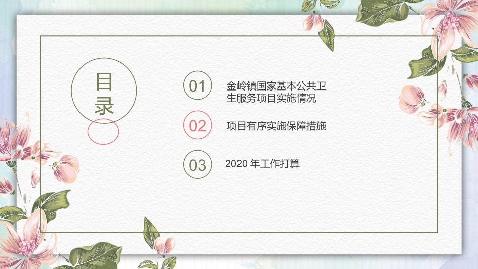 国家基本公共卫生服务项目经验交流_第3页