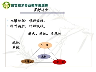 果树根外追肥技术