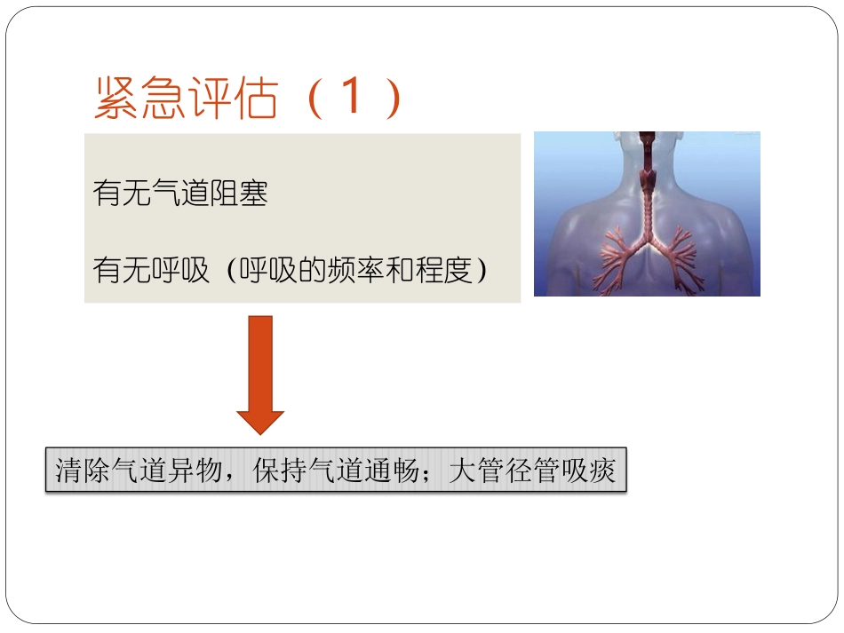 过敏反应抢救流程_第3页