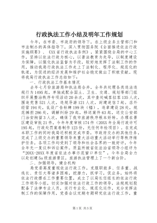 行政执法工作小结及明年工作规划