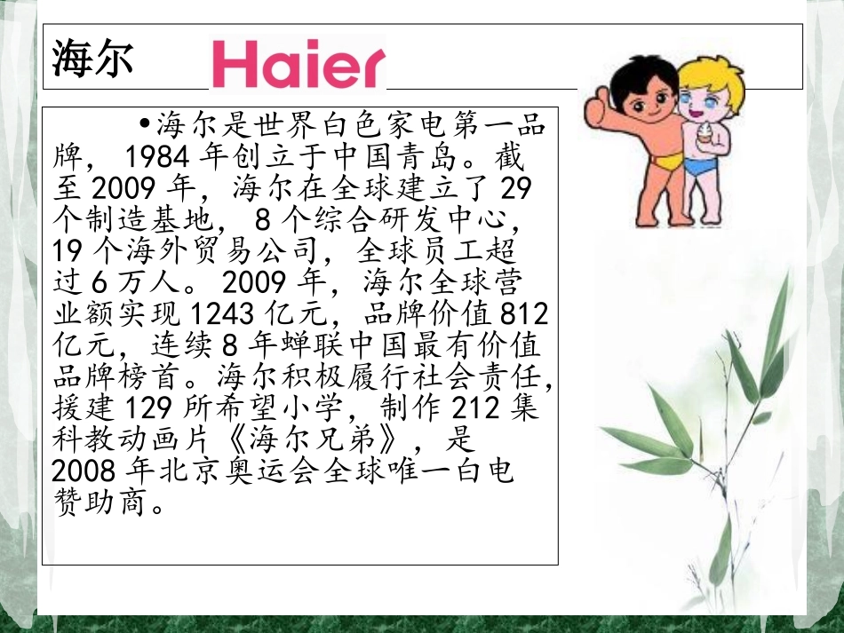 海尔公司财务分析_第3页