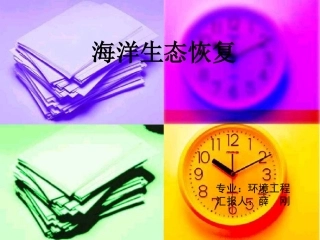 海洋生态修复