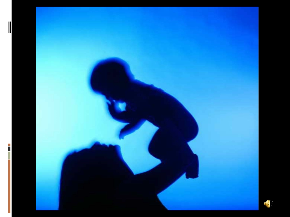 荷叶母亲课件_第3页