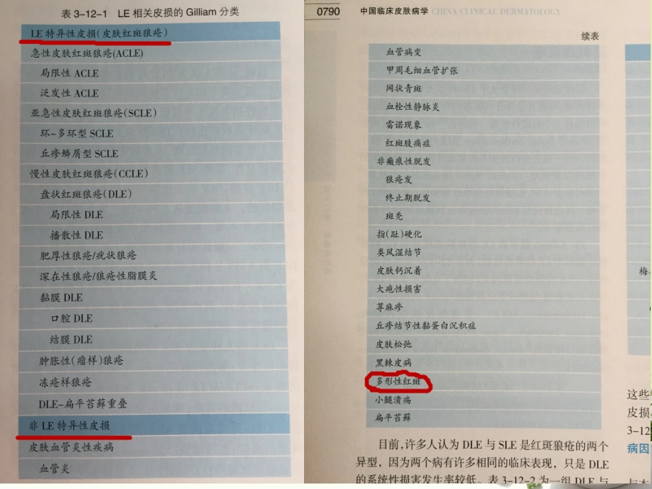 红斑狼疮和多形红斑_第3页