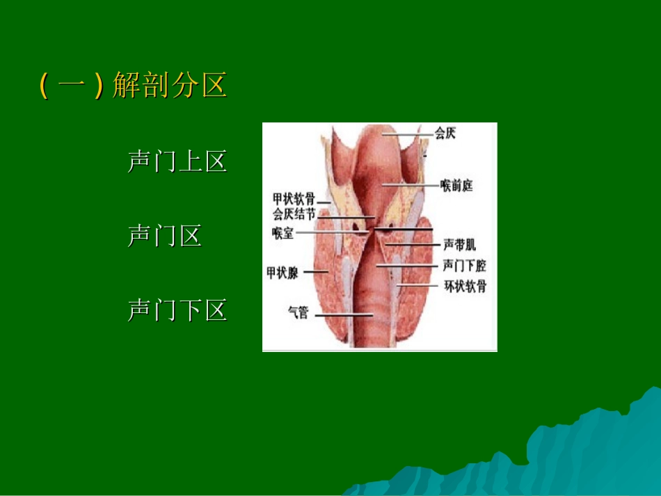 喉恶性肿瘤的临床分期_第2页