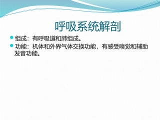 呼吸系统解剖