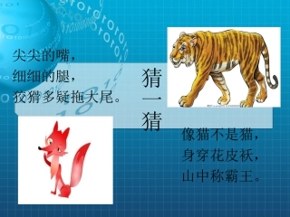 狐假虎威公开课