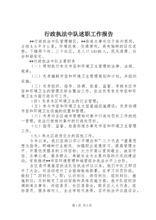 行政执法中队述职工作报告