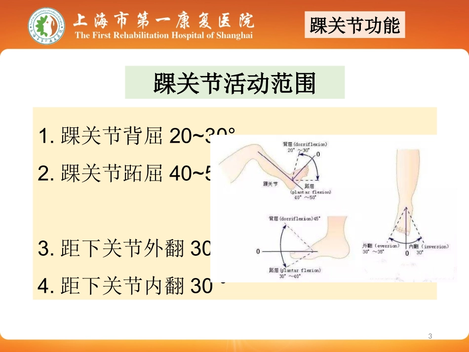 踝关节骨折术后康复_第3页