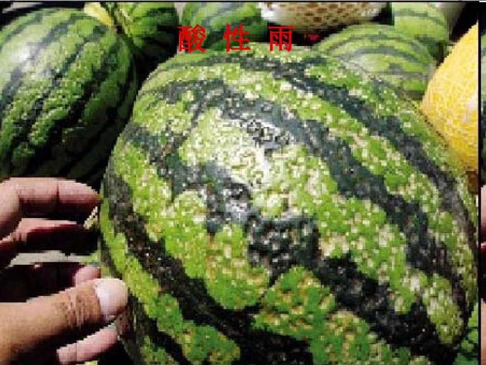 环保从我做起_第2页