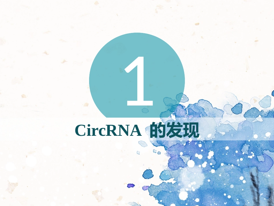 环状RNAcircRNA的研究进展_第3页