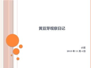 黄豆芽观察日记