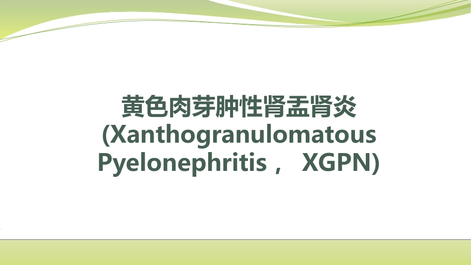 黄色肉芽肿性肾盂肾炎_第1页
