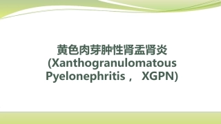 黄色肉芽肿性肾盂肾炎