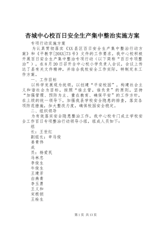 杏城中心校百日安全生产集中整治实施方案