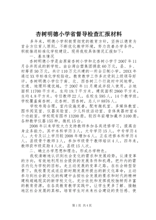 杏树明德小学省督导检查汇报材料