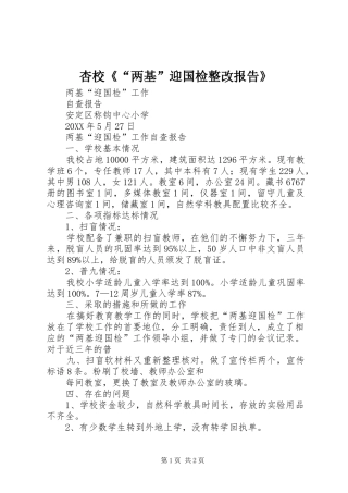 杏校两基迎国检整改报告