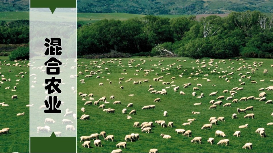 混合农业课件_第1页