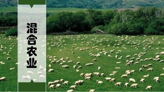 混合农业课件