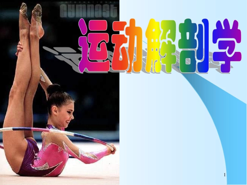 肌肉详细讲解课件最新_第1页