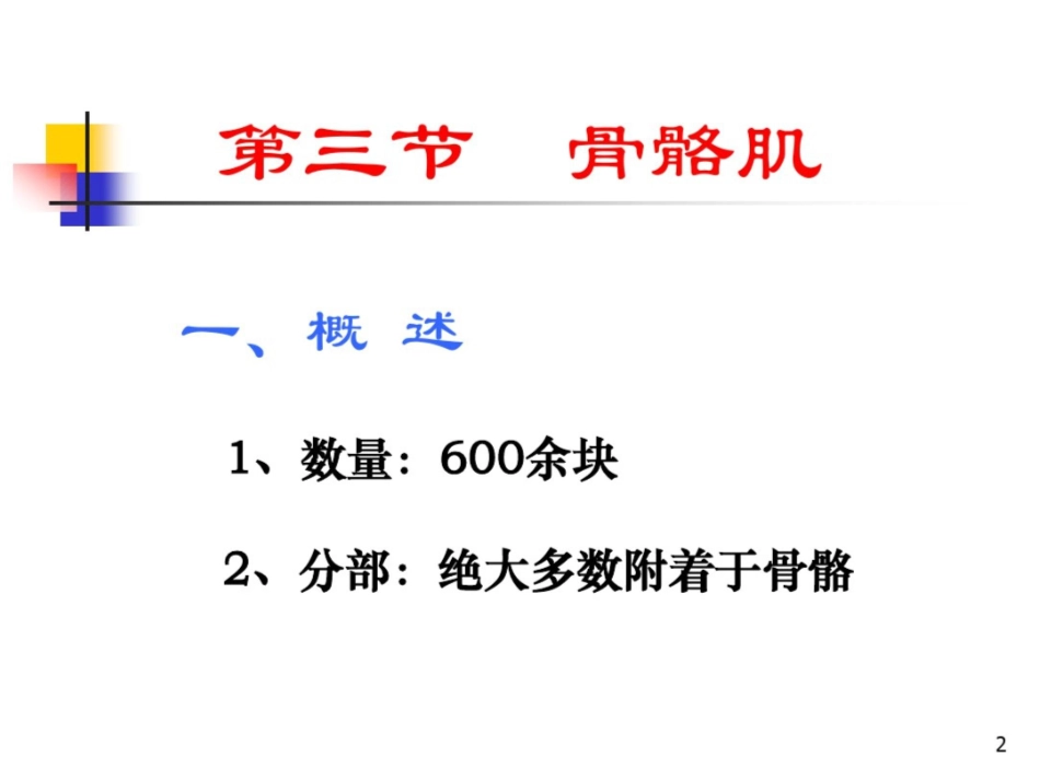 肌肉详细讲解课件最新_第2页