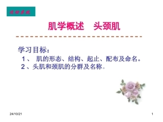 肌学概述头颈肌