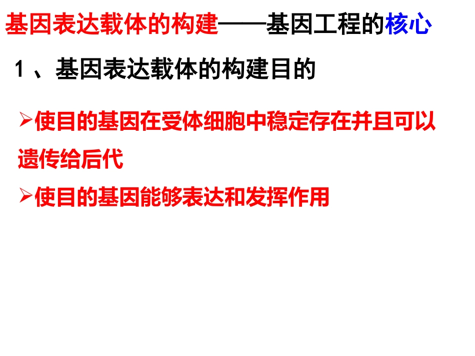 基因表达载体的构建_第3页