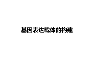 基因表达载体的构建