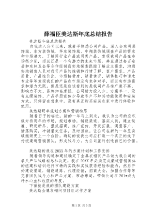 薛福臣美达斯年底总结报告