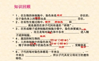 基因的显性和隐性初中生物优秀课件