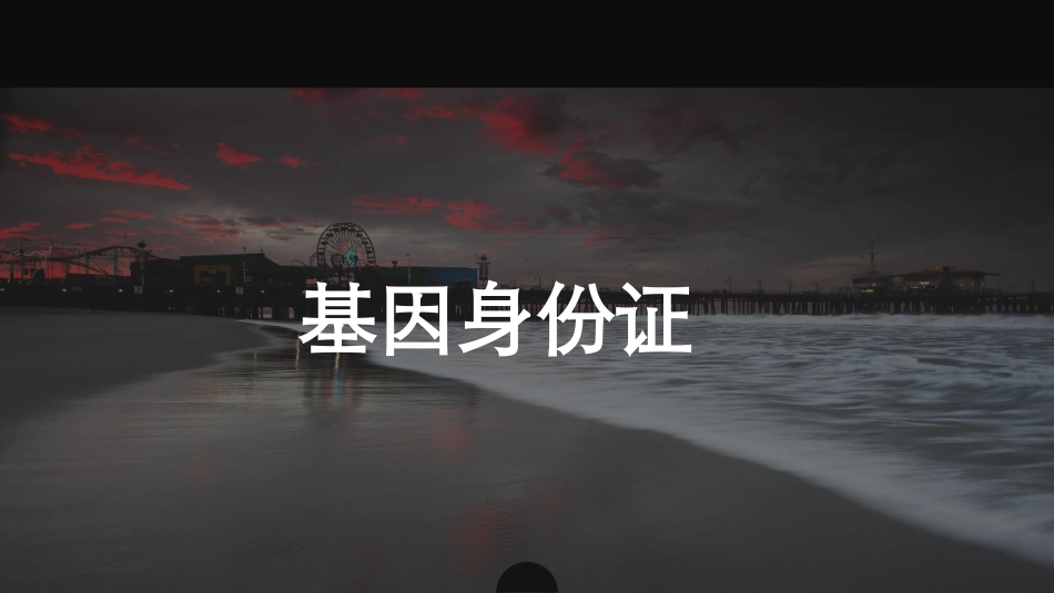 基因身份证资料_第1页