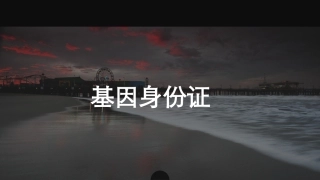 基因身份证资料