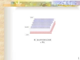 激光打印机硒鼓工作原理