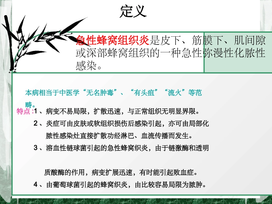 急性蜂窝织炎_第3页