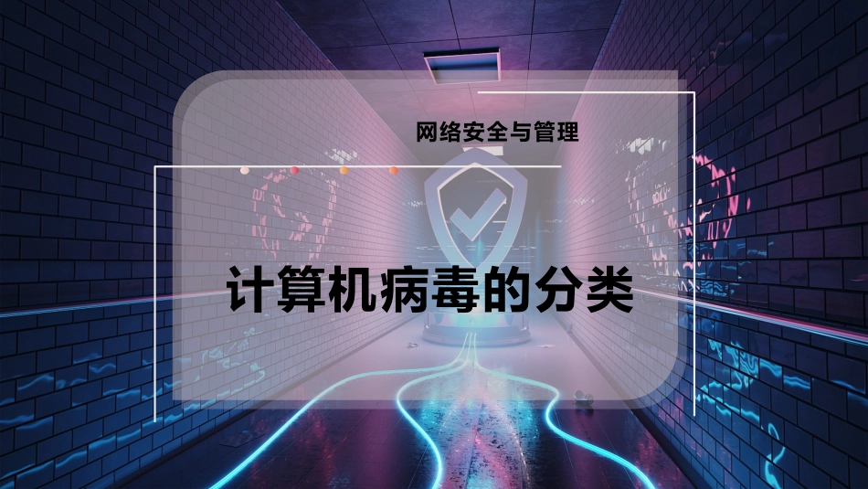 计算机病毒的分类_第1页