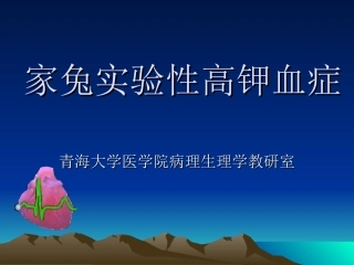 家兔实验性高钾血症课件