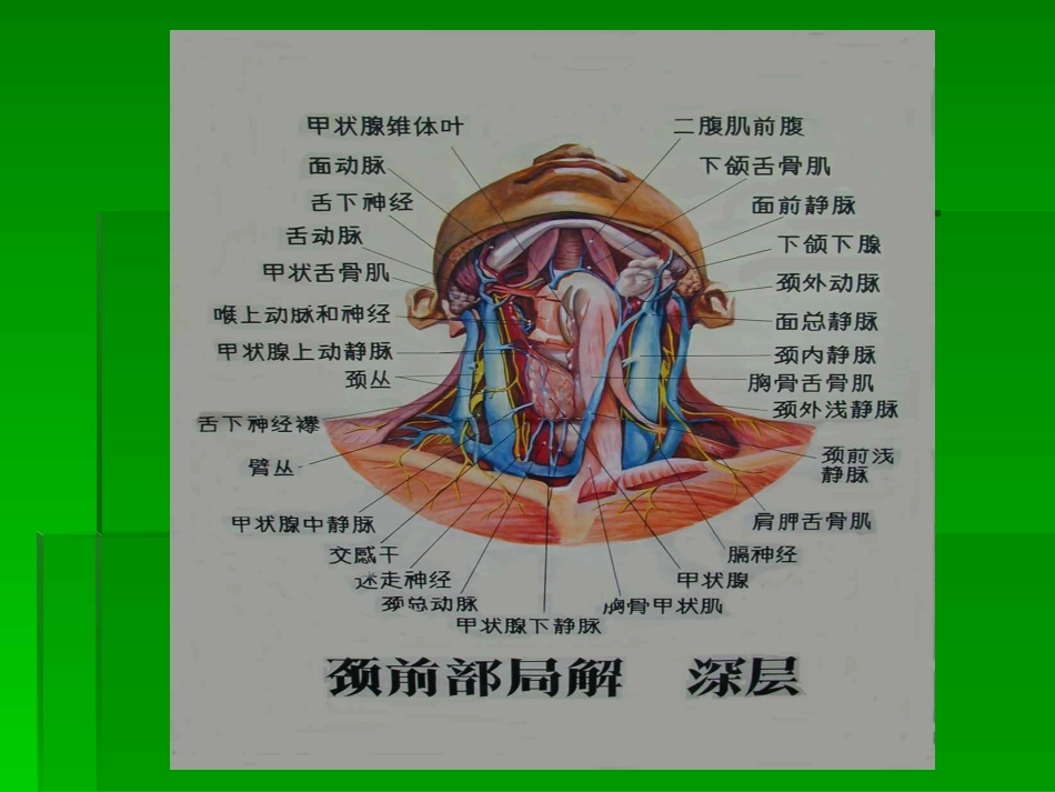 甲状腺癌治疗知识_第3页