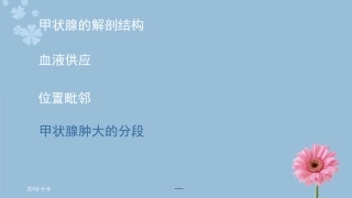 甲状腺的解剖结构