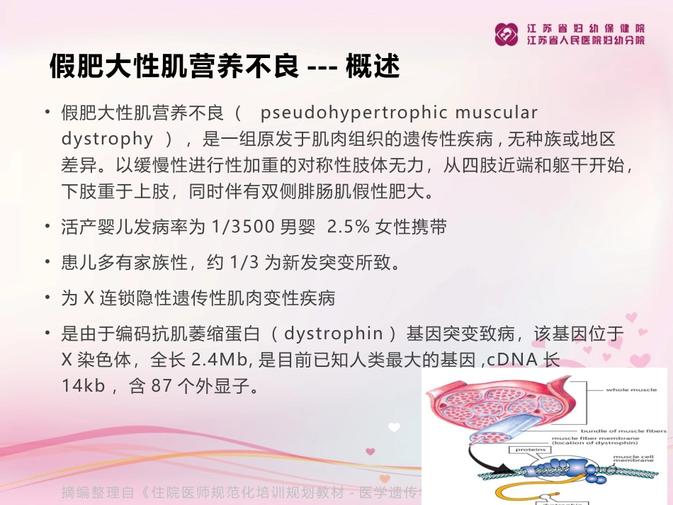 假肥大性肌营养不良_第2页