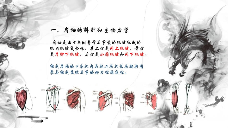 肩袖损伤的诊断_第3页