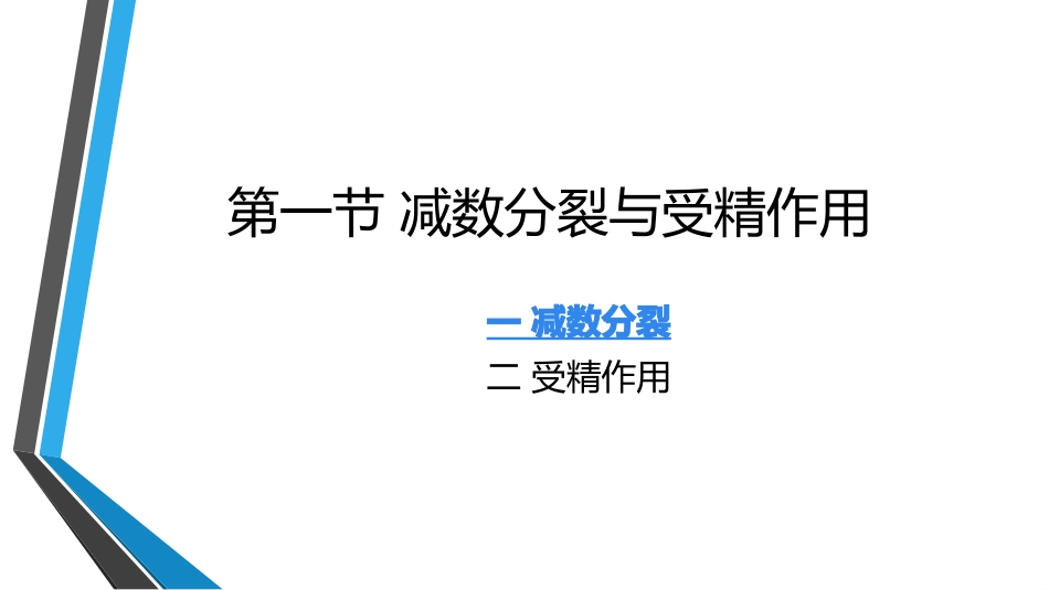 减数分裂概念_第2页